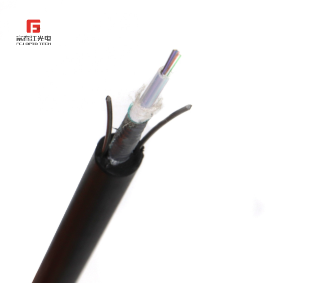 FCJ OEM Gyxtw 48cores Armoured Fiber Optical Cable Price Per Meter Manufacturer
